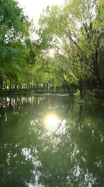大象传媒在线视频播放-探索大象传媒在线视频播放的多元化与影响力
