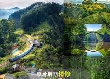 大象传媒怎么了-大象传媒的转型与挑战，在变革中寻找新航向