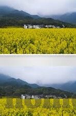 麻豆精东蜜桃果冻传媒-麻豆精东蜜桃果冻的探索之旅，一场美学的味蕾盛宴